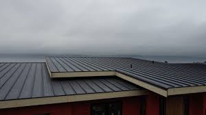 Best Sheet Metal Roofing  in Wentworth, NC